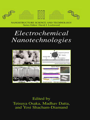 cover image of Electrochemical Nanotechnologies
